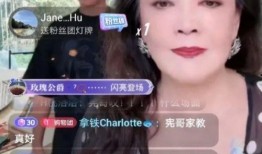 张兰下属爆料视频大全集,揭秘企业内幕与真实故事