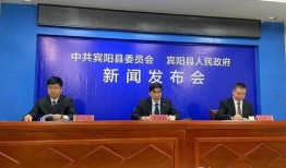 广西宾阳新闻爆料,突发事件引发关注，官方紧急介入调查